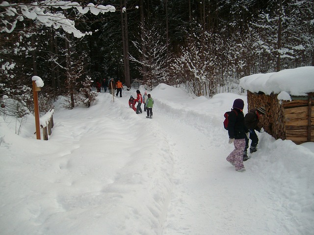 procházka ve sněhu