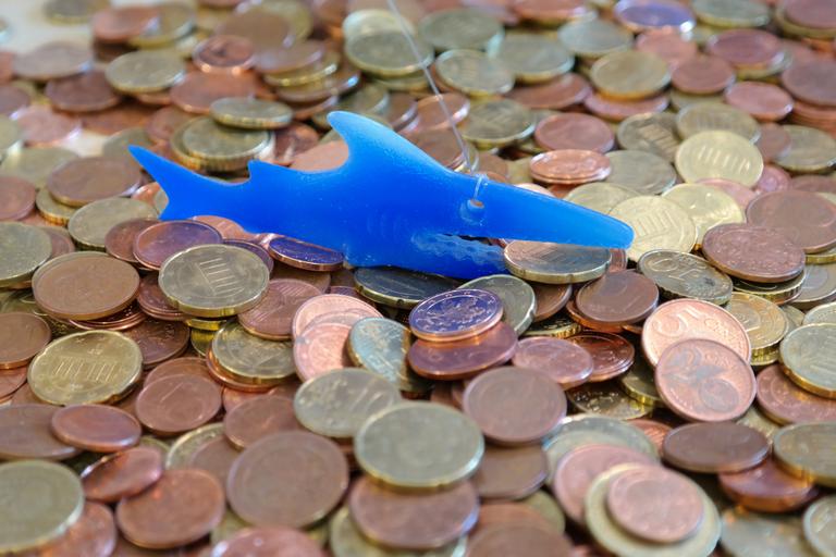 finanční žralok